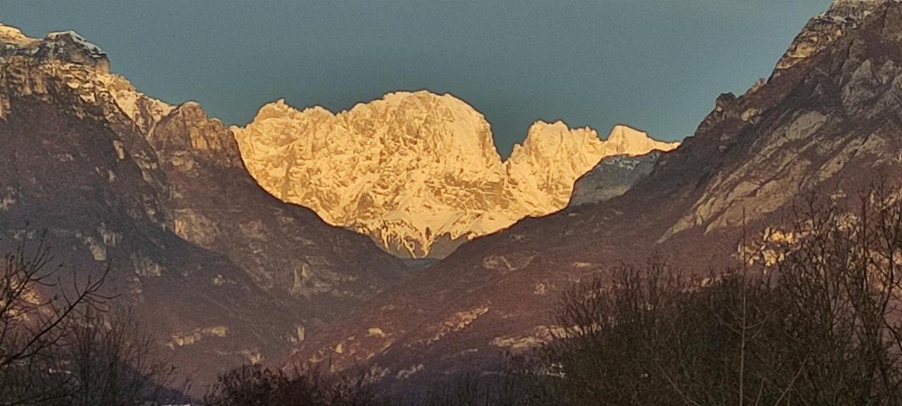 B&B Col Del Vin Belluno Exteriör bild