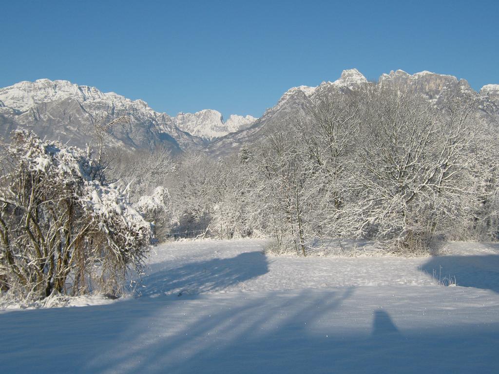 B&B Col Del Vin Belluno Exteriör bild