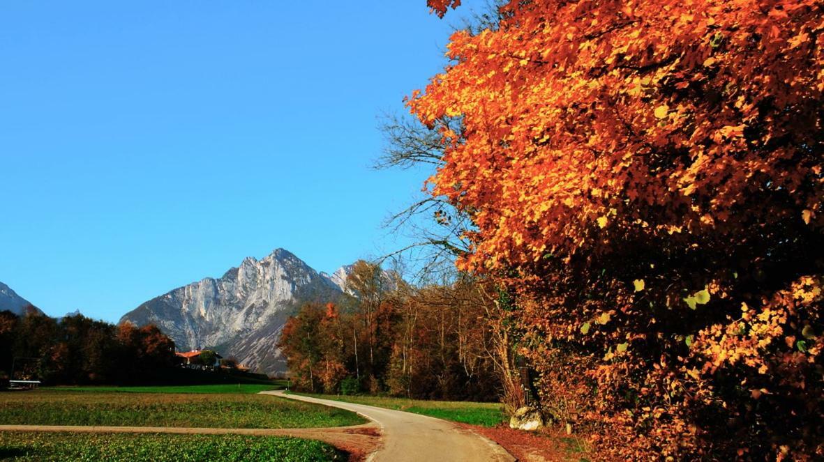 B&B Col Del Vin Belluno Exteriör bild