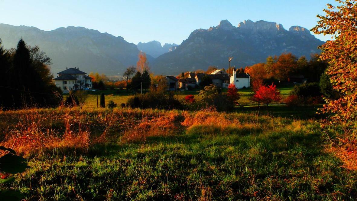 B&B Col Del Vin Belluno Exteriör bild