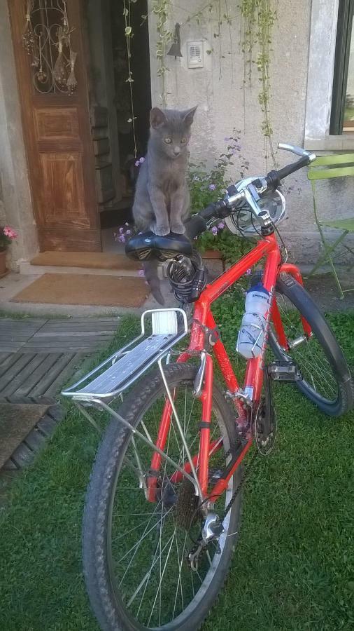 B&B Col Del Vin Belluno Exteriör bild