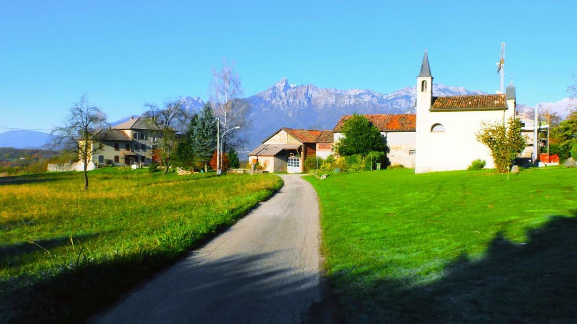 B&B Col Del Vin Belluno Exteriör bild