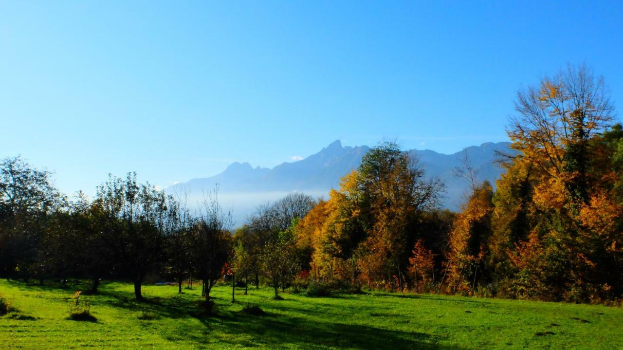 B&B Col Del Vin Belluno Exteriör bild