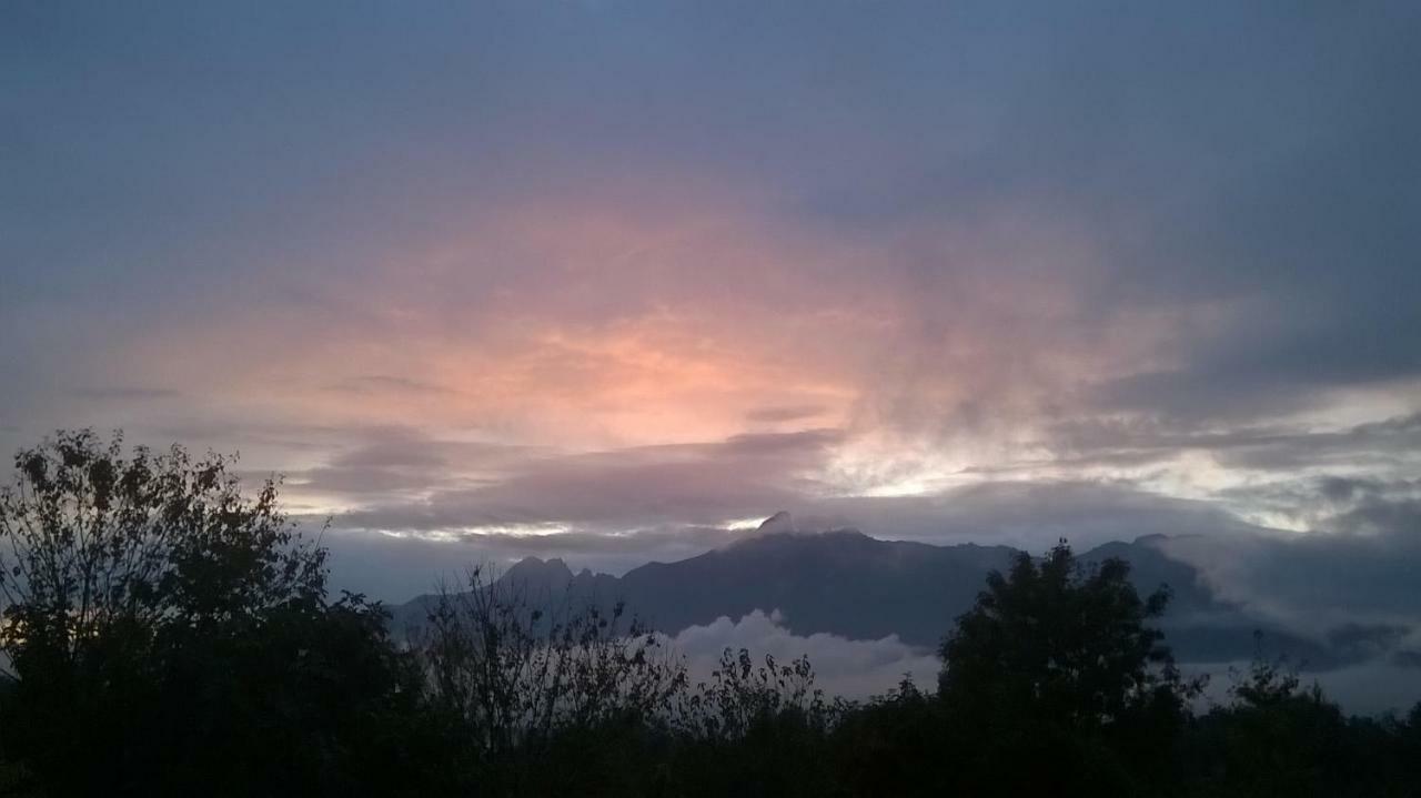 B&B Col Del Vin Belluno Exteriör bild